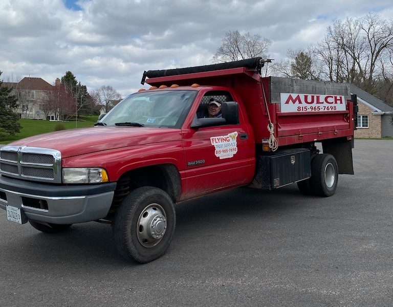 Tree Service Rockford IL