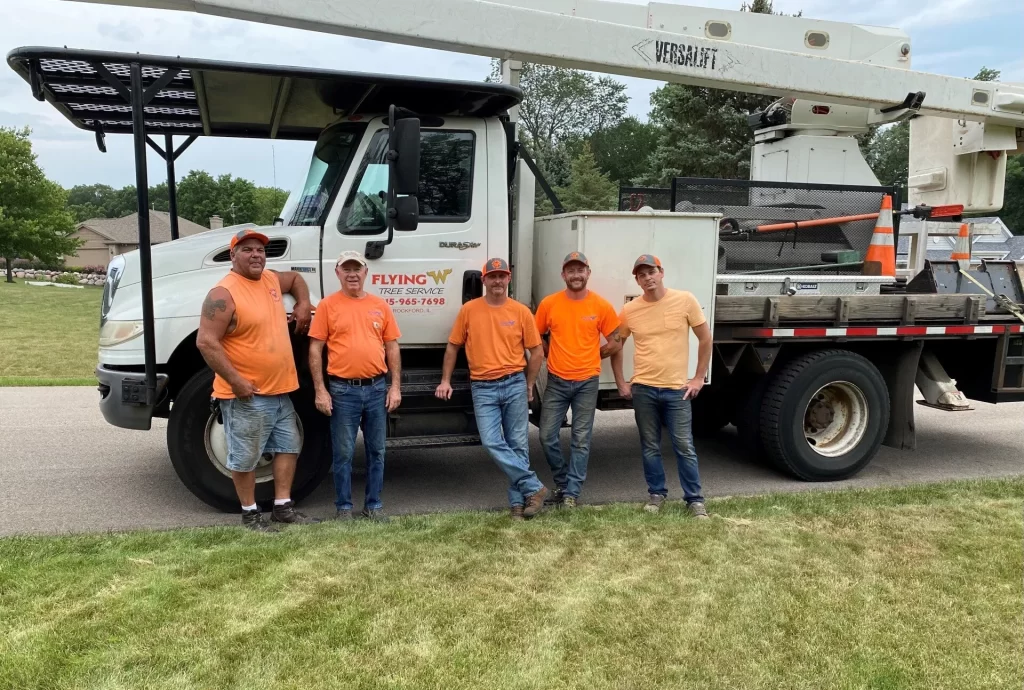 Tree Service Rockford IL