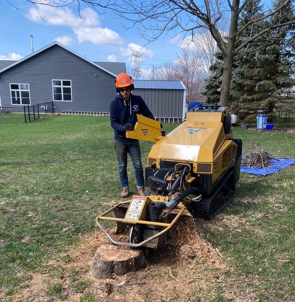 Tree Service Rockford IL